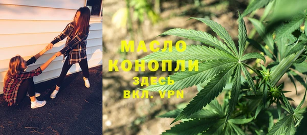 молекула духа Козельск